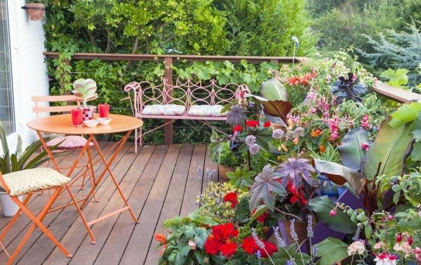 Plantes pour terrasse