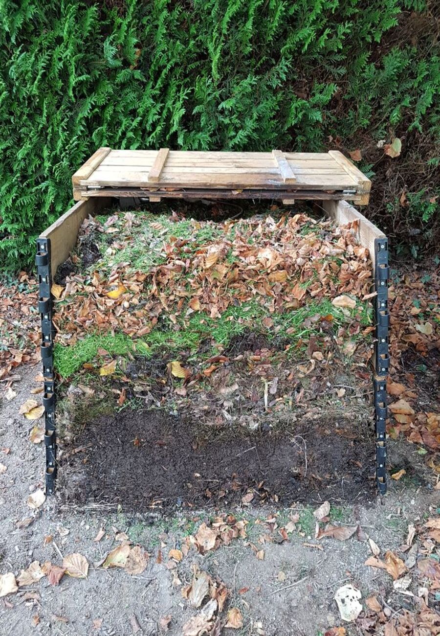 jardin : feuilles mortes