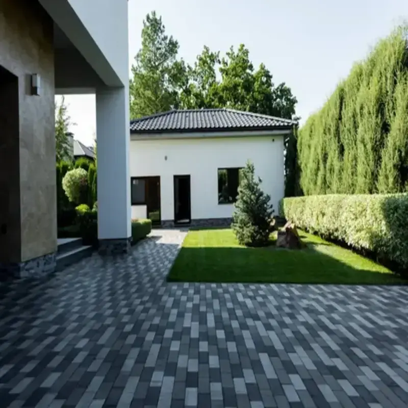 Jardin : zone d'ombre