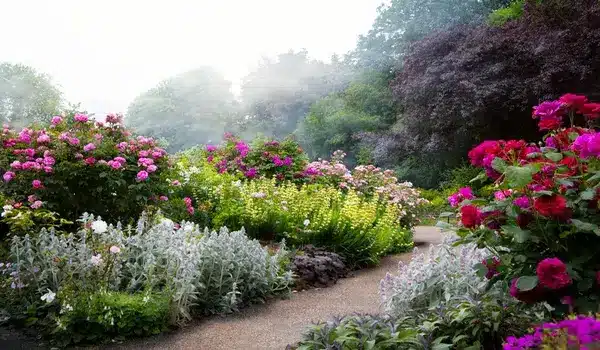 jardin