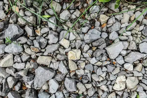 désherber une allée en graviers