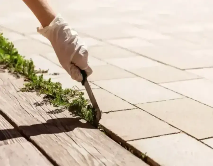 Nettoyer une allée de jardin
