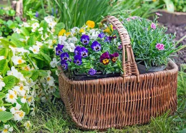 décorer le jardin