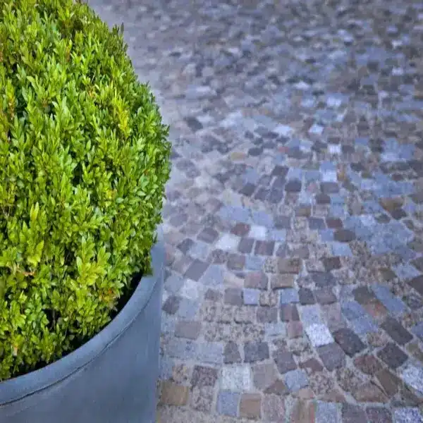 cour en pavé
