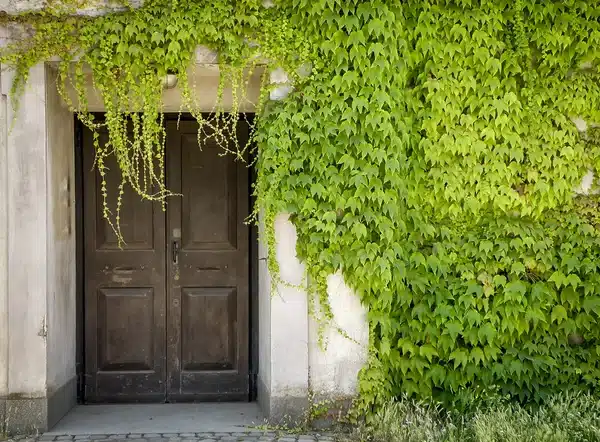 Avant de la maison