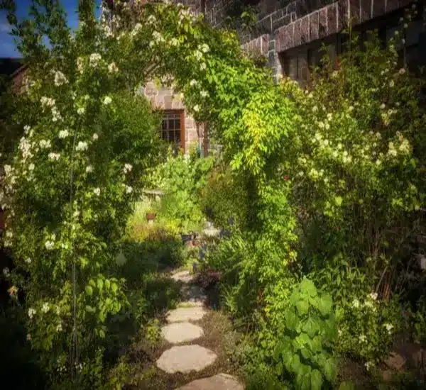 Avant de la maison
