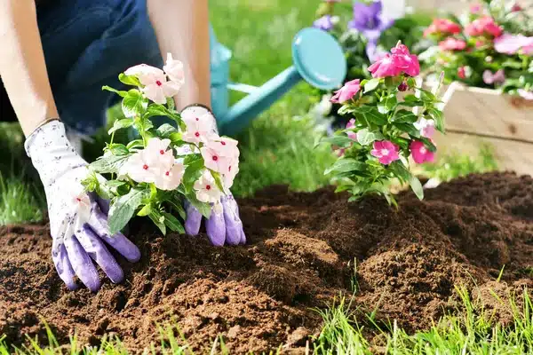 https://perenia.fr/wp-content/uploads/2026/04/depositphotos_224743524-stock-photo-beautiful-woman-her-garden-plant.webp