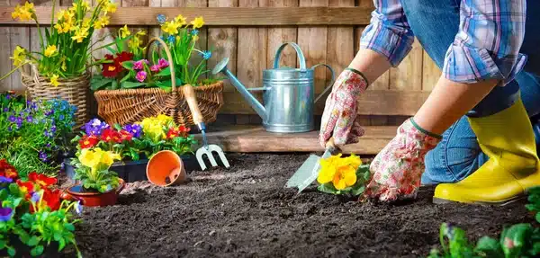 https://perenia.fr/wp-content/uploads/2026/04/depositphotos_252908222-stock-photo-planting-flowers-in-sunny-garden.webp