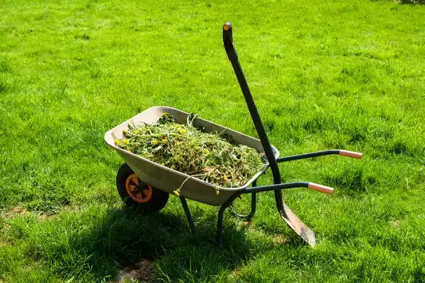 https://perenia.fr/wp-content/uploads/2026/06/depositphotos_33938413-stock-photo-wheelbarrow-on-lawn.webp