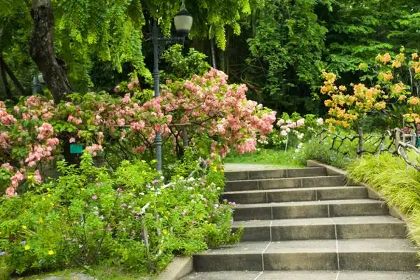https://perenia.fr/wp-content/uploads/2026/06/depositphotos_573581872-stock-photo-scenery-trees-flowers-stairs-chatuchak.webp