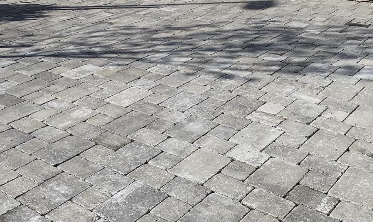 https://perenia.fr/wp-content/uploads/2026/07/image0-3.jpeg