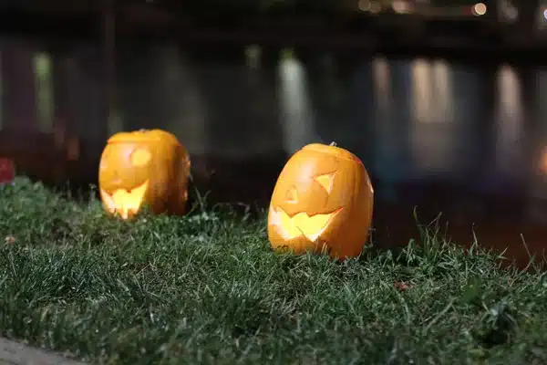https://perenia.fr/wp-content/uploads/2026/09/Deco-halloween-.webp
