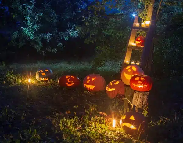 https://perenia.fr/wp-content/uploads/2026/09/Deco-halloween-1.webp