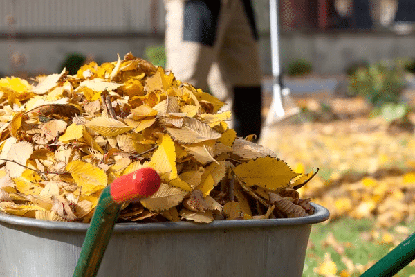 https://perenia.fr/wp-content/uploads/2026/09/feuilles_jardin-1.png