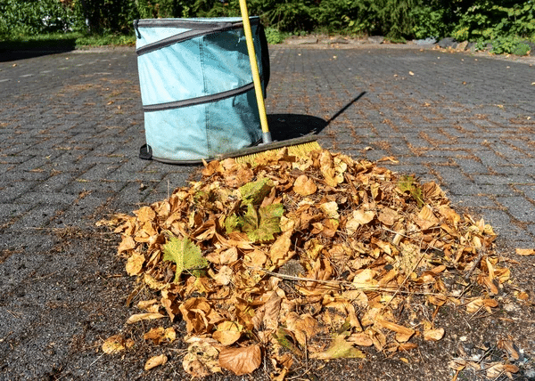 https://perenia.fr/wp-content/uploads/2026/09/feuilles_jardin-2.png
