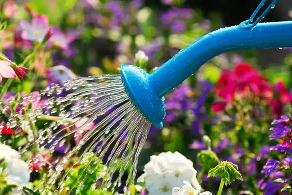 https://perenia.fr/wp-content/uploads/2026/09/fleurs-1.webp